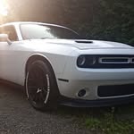 Ted Harden - @ted_harden50 - Instagram