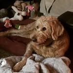 Ted E. Harding - @teddy_grams___ - Instagram