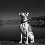 @tedhooleyharding - Instagram
