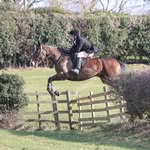 Ted Hardy - @ted_hardy97 - Instagram