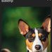Ted Harman - Facebook