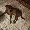 Ted Harmon - @tedharmon3 - TikTok