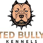 Ted Harper - @tedbullykennels - Instagram