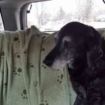 Ted Harper - @harper.ted - Instagram