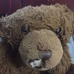 TeD bUNDy HONEY WALLLL HArrodS - @tedbundyharrods - Instagram
