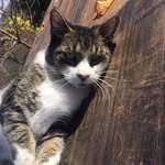 Ted Hart - @ted.hart.1029 - Instagram