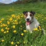 Ted - @ted__hartley - Instagram