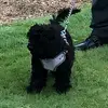 tedtahartley - @tedtahartley1 - TikTok