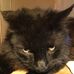 Ted Harty - Facebook