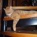 Ted Hartzell - Facebook