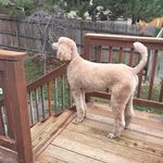 @ted.harvey - Instagram