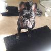 Ted Harvey941 - @tedharvey3 - TikTok