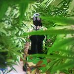 Ted Harvey - @tedharvey - Instagram
