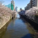 Ted Hasegawa - Facebook