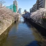 Ted Hasegawa - @hasegawated - Instagram