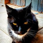 Superintentendent Ted Hastings - @tedhastingsfella - Instagram