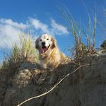 Teddy Hatch - @teddy_hatch - Instagram