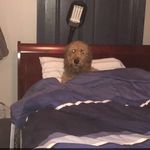 Teddy Hatcher - @teddymfhatcher - Instagram
