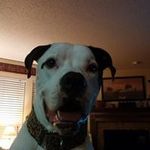 Ted Hatfield - @ted.hatfield.92 - Instagram