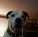 Ted Hatfield - Facebook
