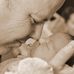 Ted Haugen - Facebook