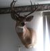 Ted Haun - Facebook