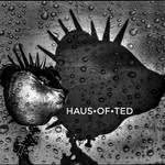Haus of Ted - @hausofted - Instagram