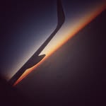 Ted_Haus - @ted_haus - Instagram
