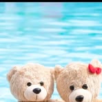 Teddy Haus - Facebook