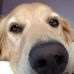 Todd Haviland - Facebook