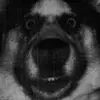 Fortinaiti - @tedhawkes1 - TikTok