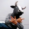 Ted hawkes - @tedhawkees - TikTok