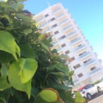 Ted Hawkins - @ig.ted.06 - Instagram