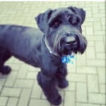 Ted Hayfield - @tedhayfield - Instagram