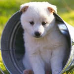 Hayden Ted - @haydented6536 - Instagram