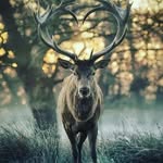 Hayden Tedder - @tedder.hayden - Instagram