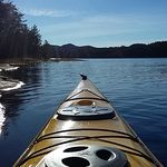 ted1 - @ted_head_1 - Instagram