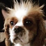 Ted Head - @tedhead01 - Instagram