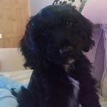 Teddy Headland - @tedheadland - Instagram