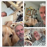 Ted Healy - @ted.healy - Instagram