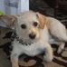 Theodore Hecht - Facebook