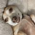 Ted Heck - Facebook
