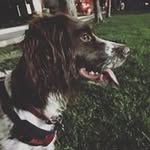 Ted Heimler - @tedheimler - Instagram