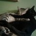 Ted Hein - Facebook