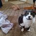 Ted Helle - Facebook