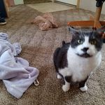 Ted Helle - @tedhelle54 - Instagram