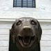 Ted Heller - Facebook