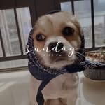 Ted&Helmet - @nazpage_nyc - Instagram