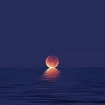 Ted Helwig - @tedhelwig - Instagram