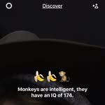 Ted Hendricks - @hendricks.ted - Instagram